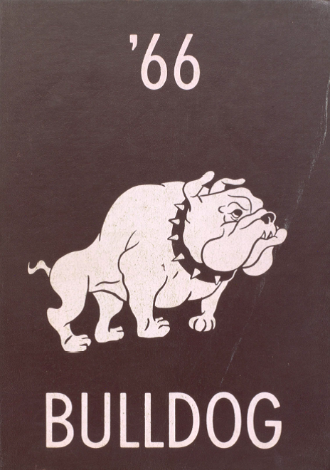 link to 1966 